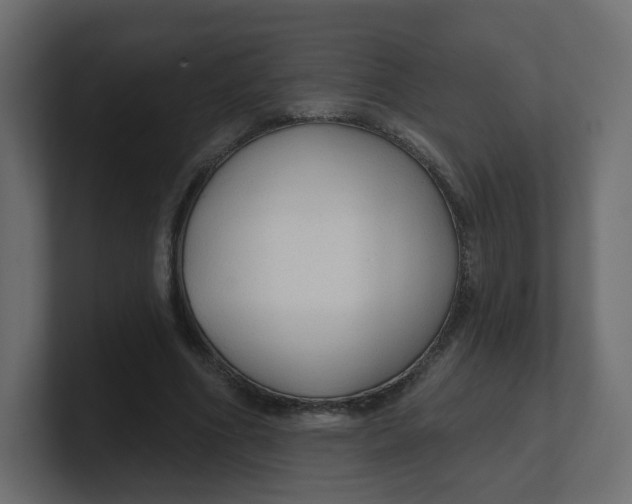 X0000100370586200806271446