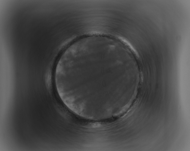 X0000100370588200806271446