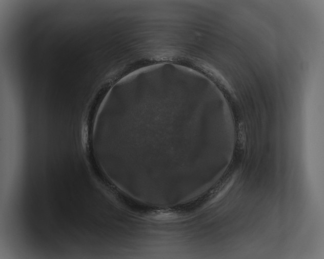 X0000100370589200806271446