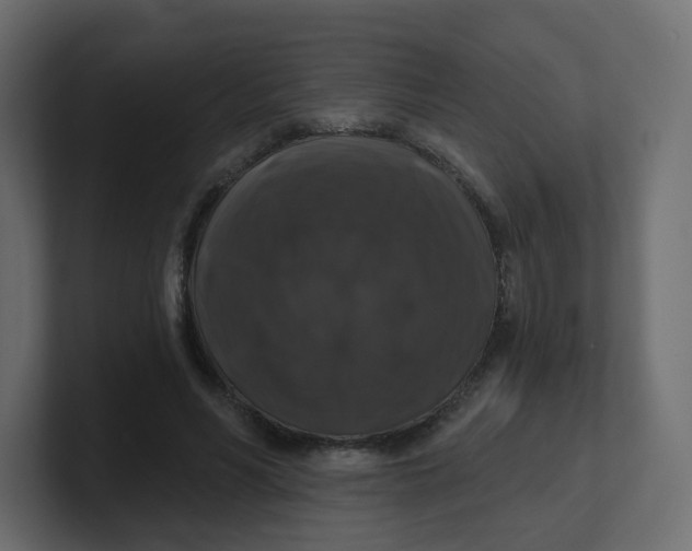 X0000100370590200806271446