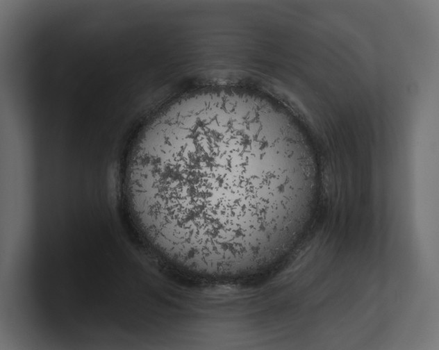 X0000100370594200806271446