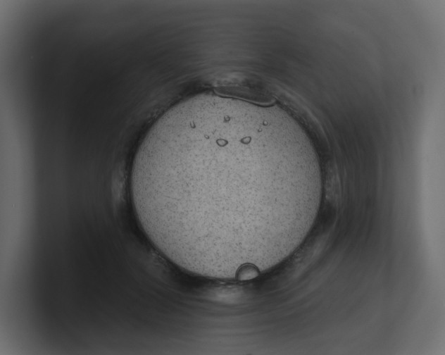 X0000100370604200806271445