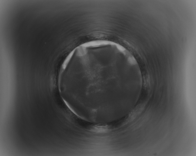 X0000100370606200806271445