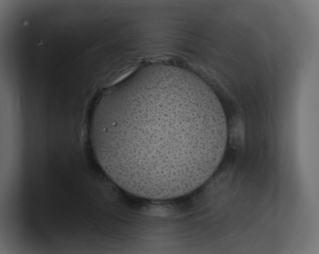 X0000100370608200806271445