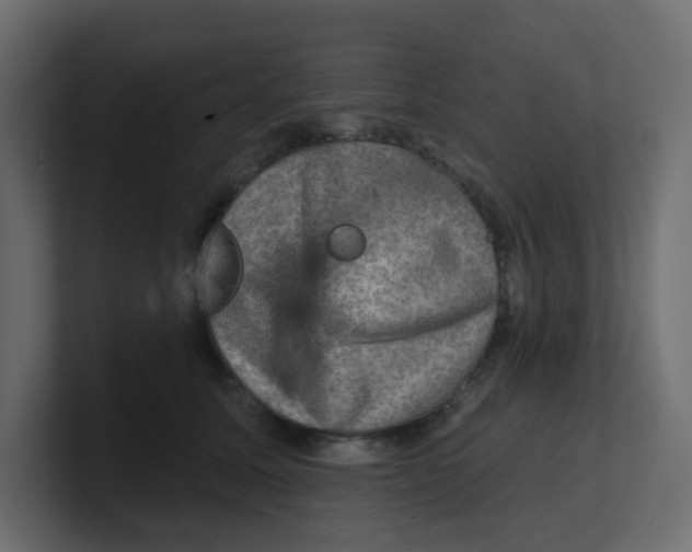 X0000100370611200806271445