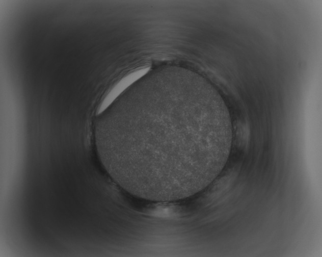 X0000100370612200806271445