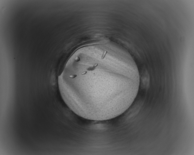 X0000100370620200806271445