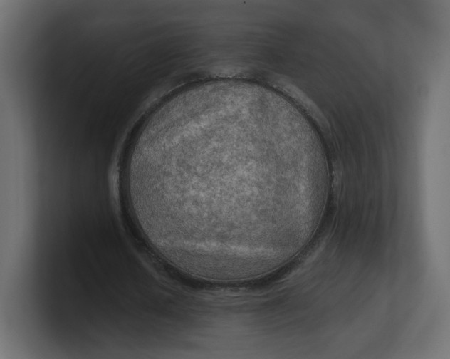 X0000100370626200806271445