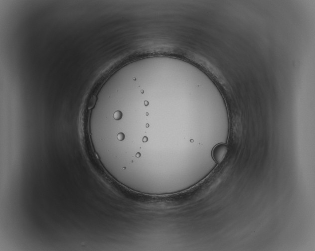 X0000100370629200806271445