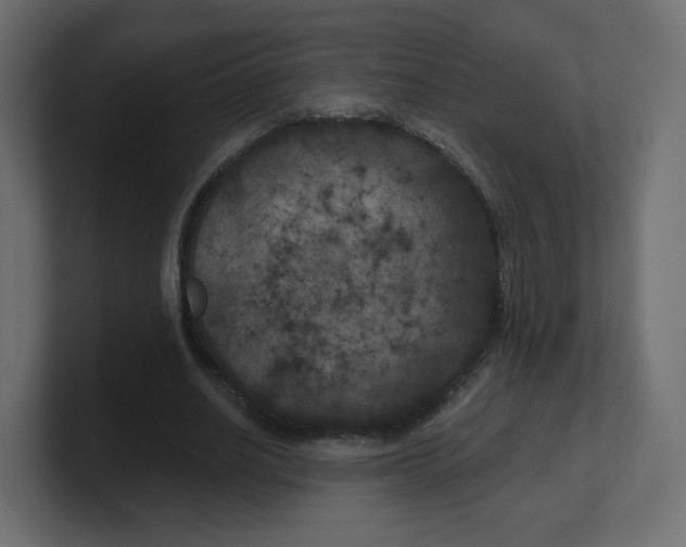 X0000100370630200806271445