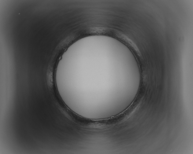 X0000100370633200806271445