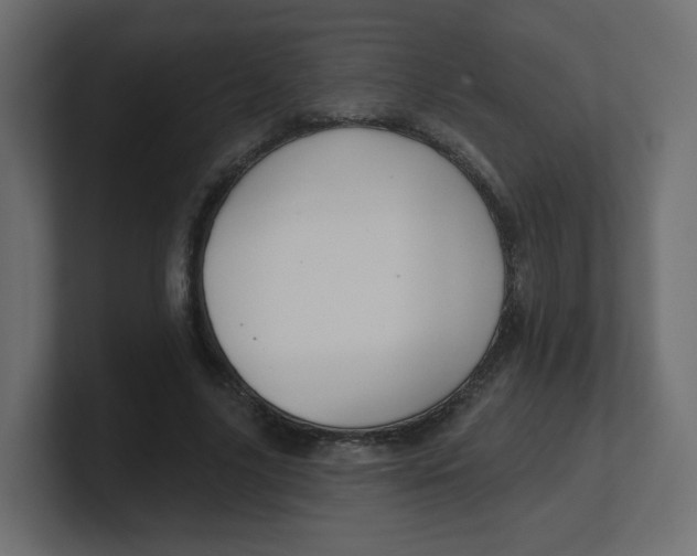 X0000100370635200806271445