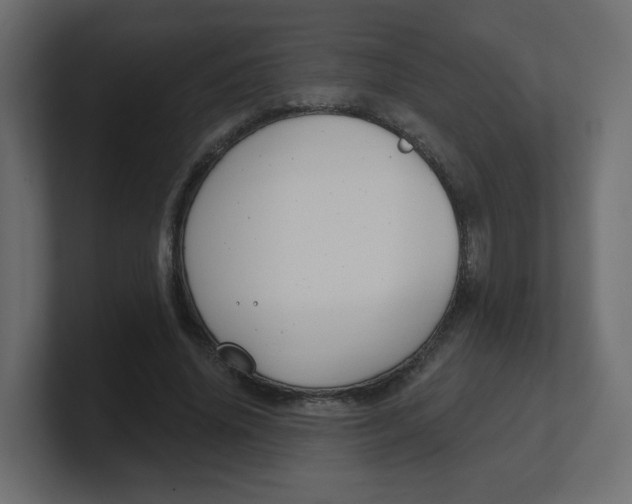 X0000100370636200806271445