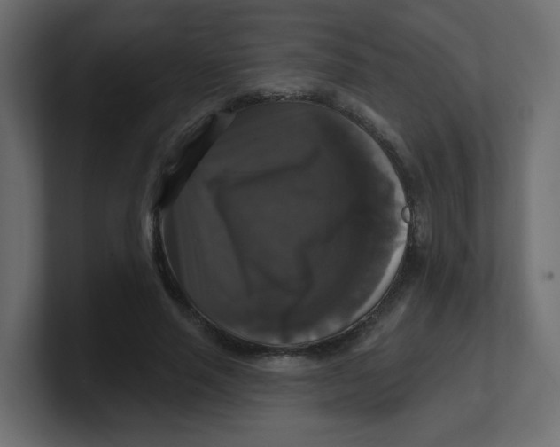 X0000100370637200806271445