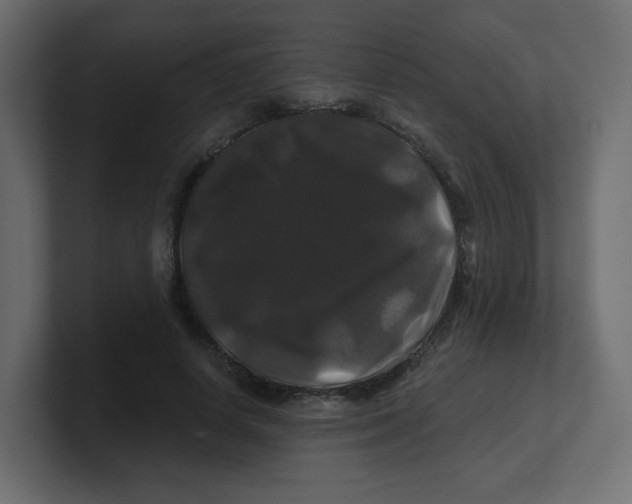 X0000100370642200806271445