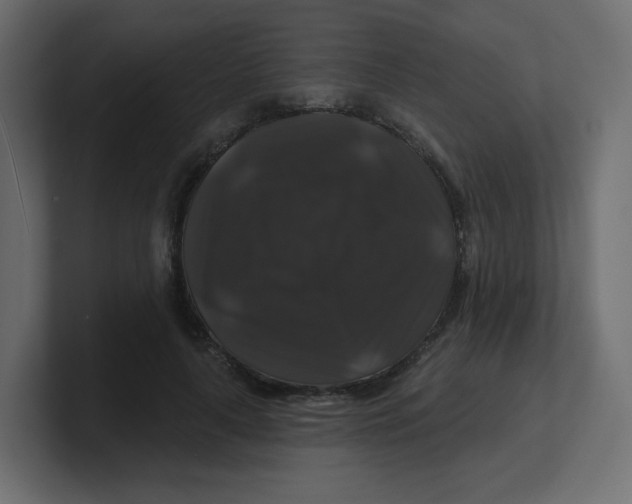 X0000100370643200806271445