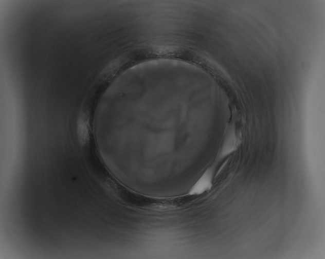 X0000100370644200806271445