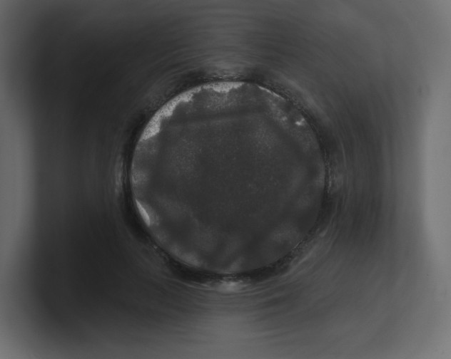 X0000100370647200806271445