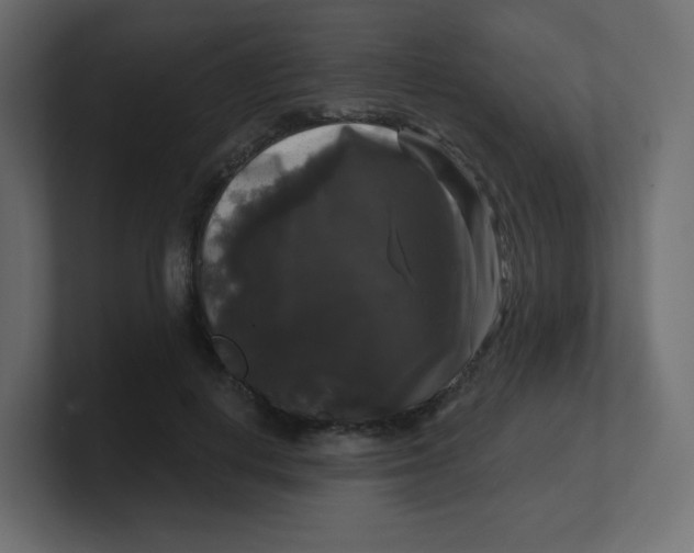 X0000100370648200806271445