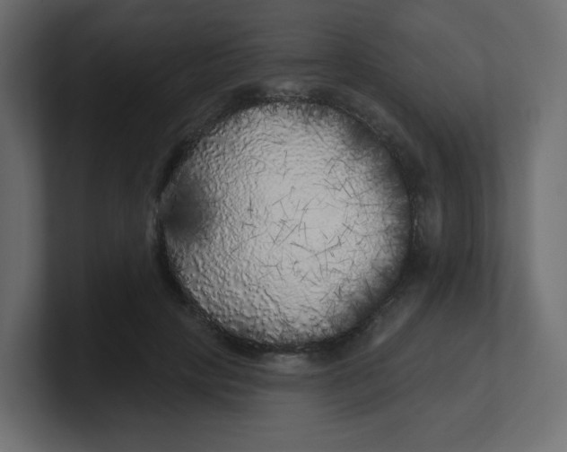 X0000100370649200806271445