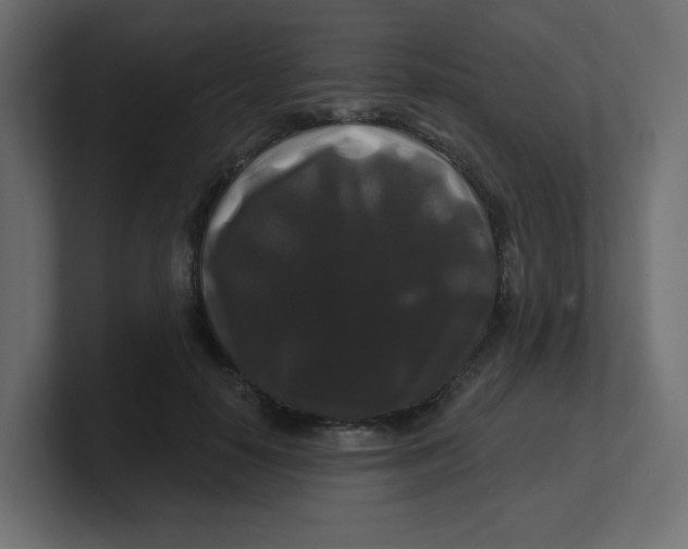 X0000100370650200806271445