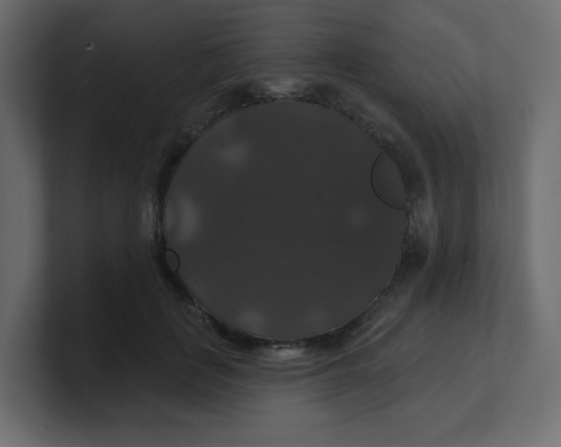 X0000100370651200806271445