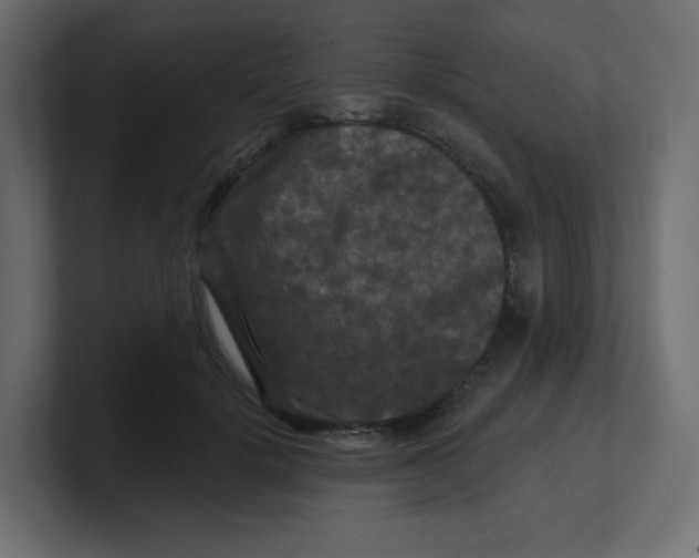 X0000100370652200806271445