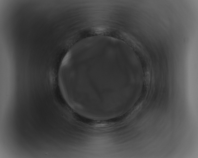 X0000100370653200806271445