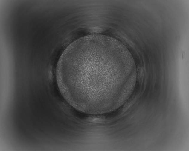 X0000100370655200806271445