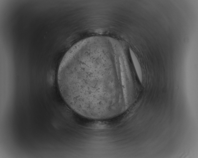 X0000100370656200806271445