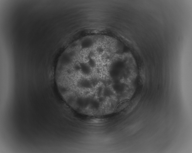 X0000100370657200806271445