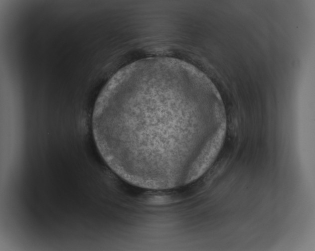 X0000100370658200806271445