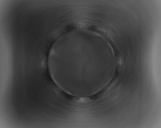 X0000100370663200806271445