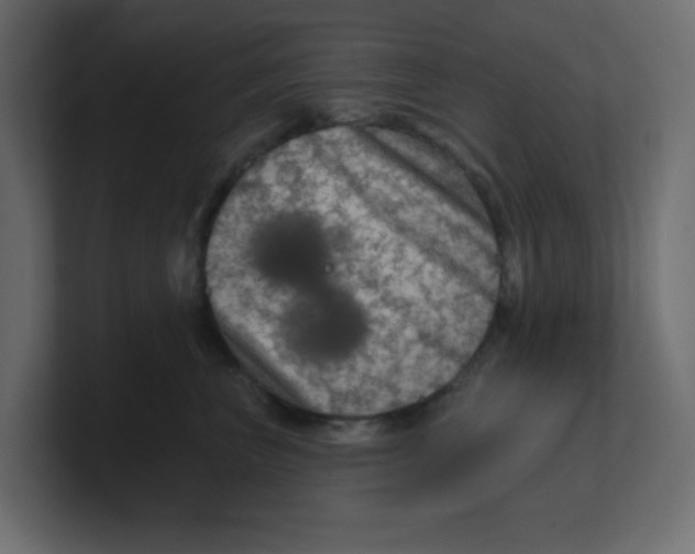 X0000100370667200806271445