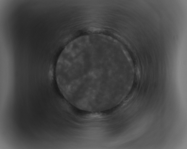 X0000100370668200806271445