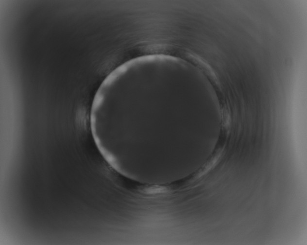 X0000100370669200806271445