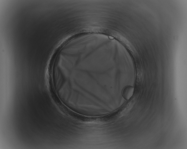 X0000100370674200806271445