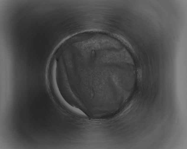 X0000100370676200806271445