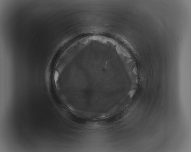 X0000100370679200806271444