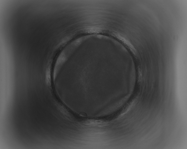 X0000100370681200806271444