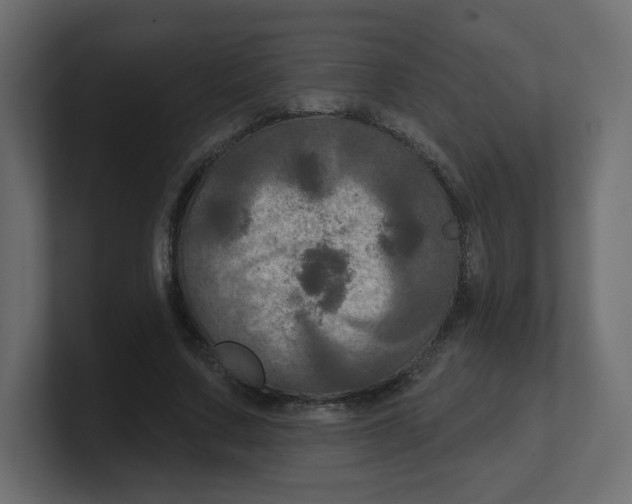 X0000100370683200806271444