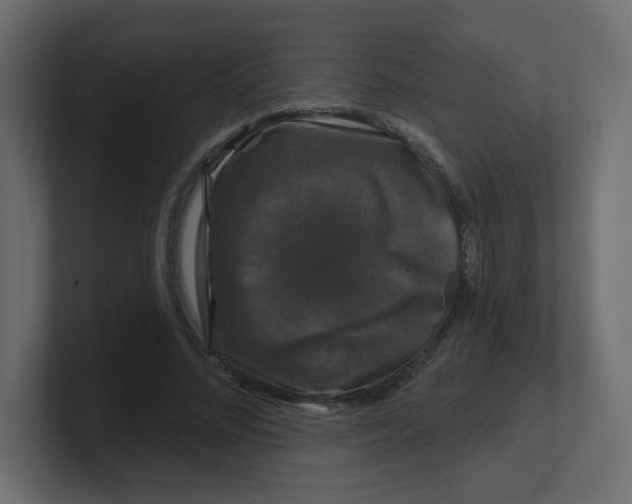 X0000100370684200806271444