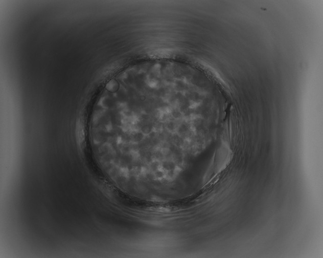 X0000100370687200806271444