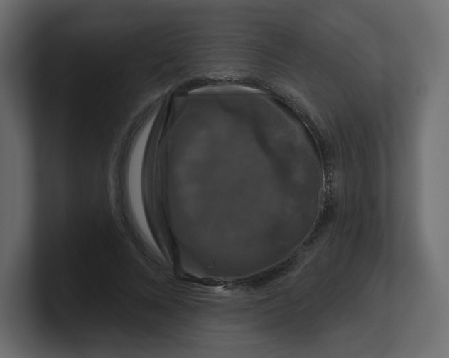 X0000100370688200806271444