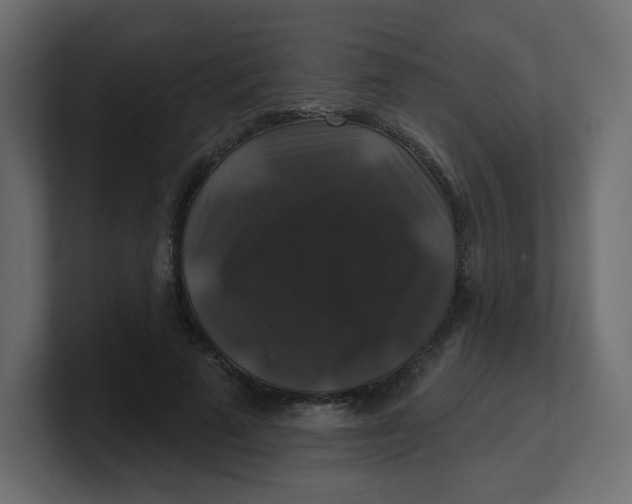 X0000100370689200806271444