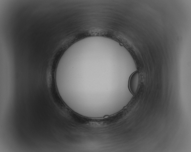 X0000100370690200806271444