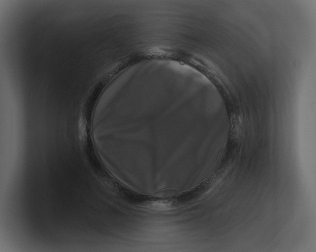 X0000100370692200806271444