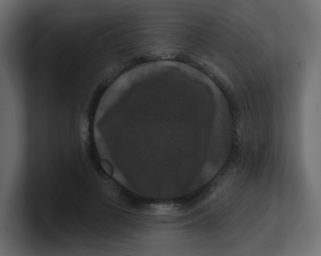 X0000100370693200806271444