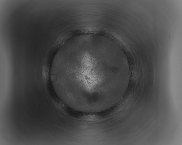 X0000100370695200806271444