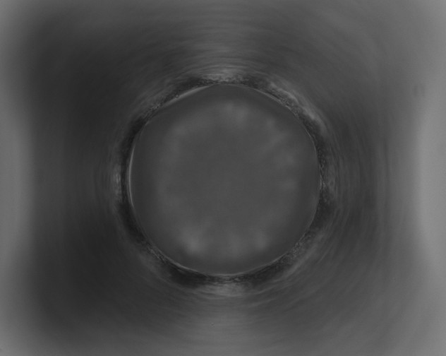 X0000100370696200806271444